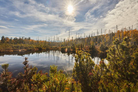 Gemeinde Lindberg Landkreis Regen Latschensee Schachtenwanderung (Dirschl Johann) Deutschland REG